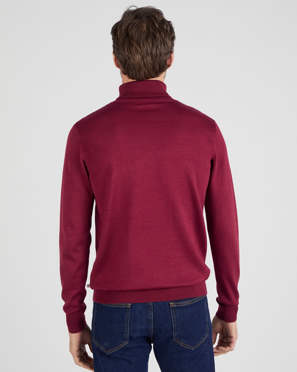 Pull classique col roulé
