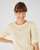 upload_dmrt/product/product/a2_v/0786_A2_V.jpg