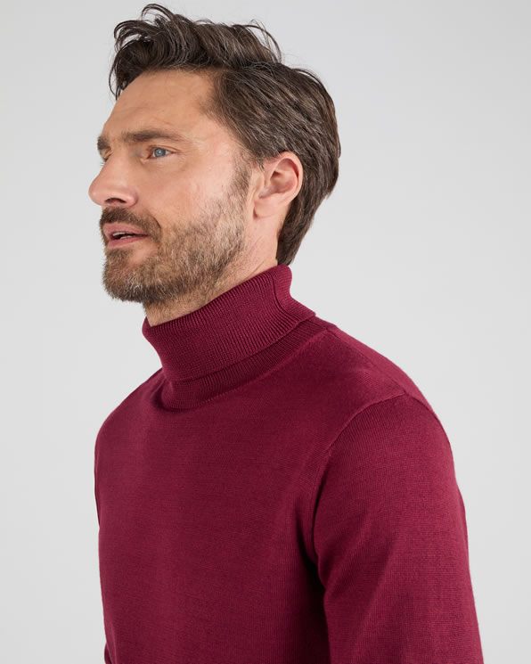 Pull classique col roulé