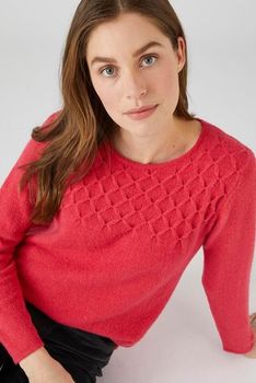 Pull plastron fantaisie